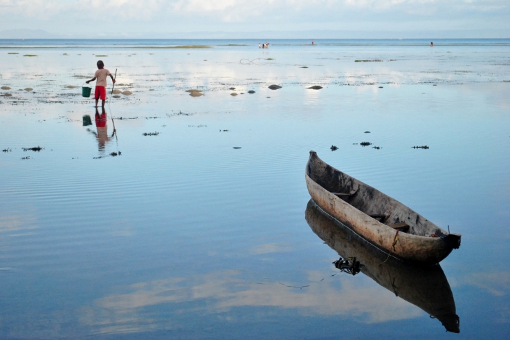 Child Fishing at Low Tide