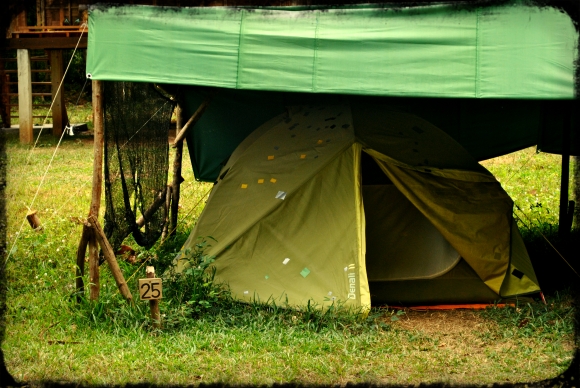 Green climbers home tent